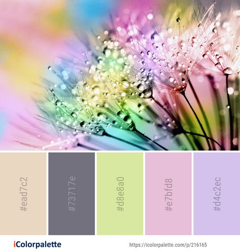 Color Palette ideas #icolorpalette #colors #inspiration #graphics #design #inspiration #beautiful #colorpalette #palettes #idea #color #colorful #colorscheme #colorinspiration #colorcombinations #colorcombos Fairytale Colour Palette, Paint Color Combos, Brand Colour Schemes, Color Palette Ideas, Colors Inspiration, Flower Close Up, Wallpaper Floral, Color Schemes Colour Palettes, Palette Ideas