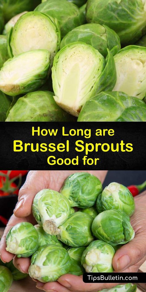 Discover how to store Brussels sprouts, how long they last, and how to tell if these veggies are bad. These cruciferous vegetables from Belgium are bright green when fresh and store well in a plastic bag or cold water in the crisper drawer of the fridge. #last #brussels #sprouts How To Store Brussel Sprouts, Frozen Bag, Small Cabbage, Vegetable Benefits, Picky Kids, Freezer Burn, Sweet Taste, Oven Roast, Perfect Side Dish