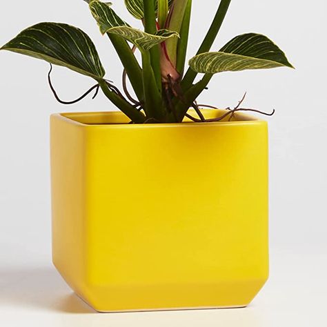 Yellow Planter, Square Planters, Yellow Ceramics, White Planters, Ceramic Flower Pots, Ceramic Plant Pots, Small Planter, Large Planters, Fake Plants