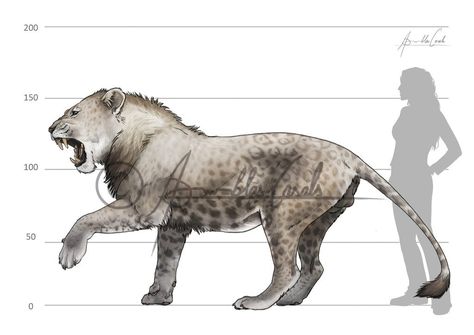 Panthera Leo Spelaea, Cave Lion, Prehistoric Animals Dinosaurs, Sabertooth Tiger, Panthera Leo, Prehistoric Wildlife, Big Cats Art, Ancient Animals, Creature Artwork