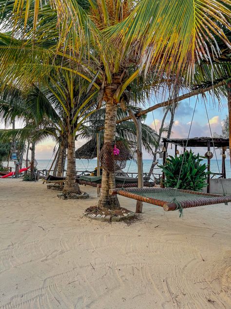 Beautiful remote lodge located in Kizimkazi, Zanzibar. #zanzibar #zanzibarhotels #Tanzania #beach #beachhotels #zanzibartravel #travel Kizimkazi Zanzibar, Tanzania Beach, Travel Tanzania, Zanzibar Hotels, Zanzibar Beach, Zanzibar Travel, Aesthetic Coconut, Zanzibar Beaches, Promise Land