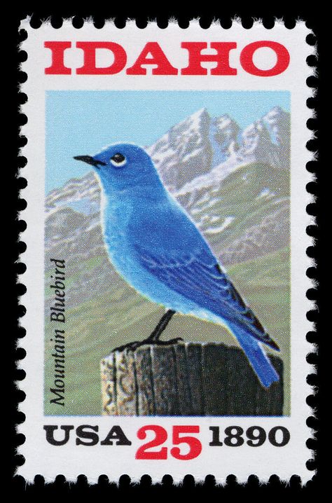 USA 1990 - Idaho Statehood 1890 (43) Pretty Stamps, Gold Coins Money, Mountain Bluebird, Stamps Postage, Postage Stamp Collecting, طوابع بريد, Usa Stamps, Commemorative Stamps, Going Postal