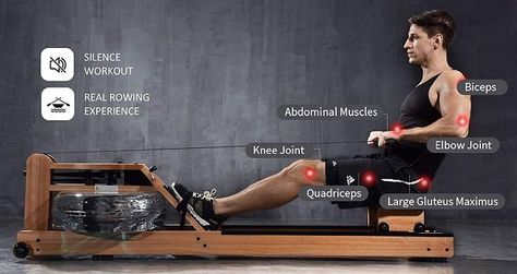 man rowing on eriding water rower Indoor Rowing Workout, Water Rower, Rowing Workout, Indoor Rowing, Best Workout Routine, Machine Work, Rowing Machine, Abdominal Muscles, Muscle Mass