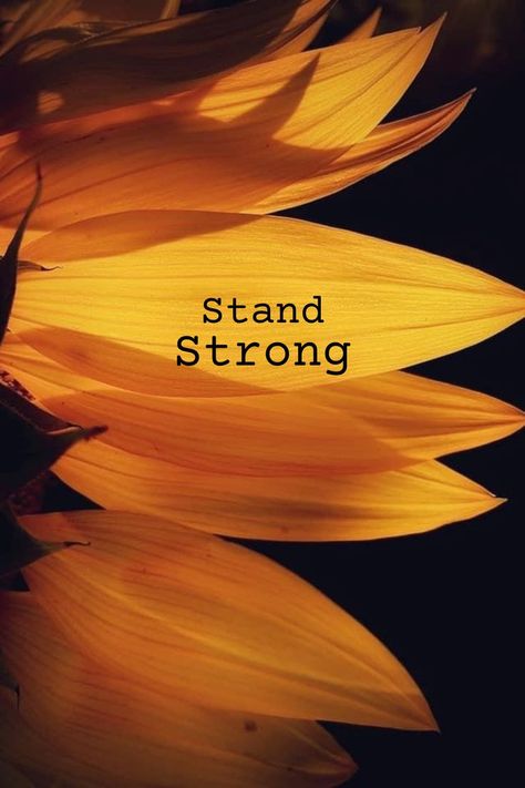 Stand Strong. Spread the sunshine. Be the positive algorithm. Join the Spread the Sunshine Mission with Fish Sunflowers and the Sunshine Brand. #natureflowers #prettyflowers #sunshine #sunshinequotes #sunflowers #positivity #positivequotes Sunflower Facts, Wonderful Day Quotes, Get Well Messages, Sunflower Quotes, Planting Sunflowers, Sunshine Quotes, Sunflower Wallpaper, Stand Strong, Sunflower Fields