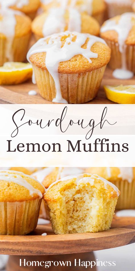 Add some sunshine to your mornings with Sourdough Lemon Muffins! They're a refreshing burst of citrus flavor, enhanced by the tang of sourdough. Sourdough Orange Muffins, Rolls Sourdough, Sunshine Muffins, Sourdough Sweets, Sourdough Desserts, Sourdough Lemon, Sourdough Ideas, Lemon Muffin Recipes, Lemon Raspberry Muffins