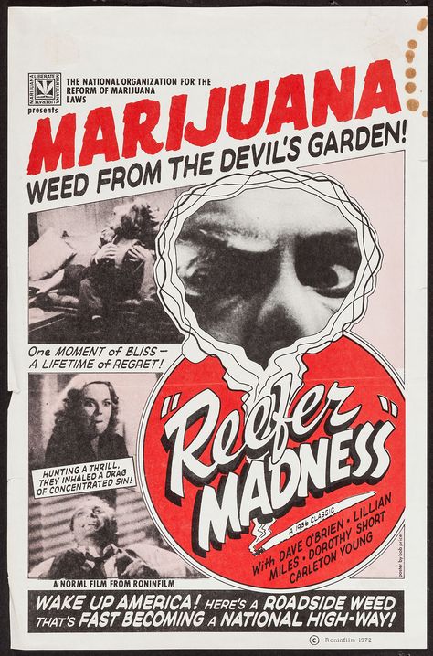 Reefer Madness Reefer Madness, Vintage Poster Design, Dorm Posters, Room Posters, New Wall, Graphic Design Typography, Graphic Design Posters, Vintage Ads, Retro Poster