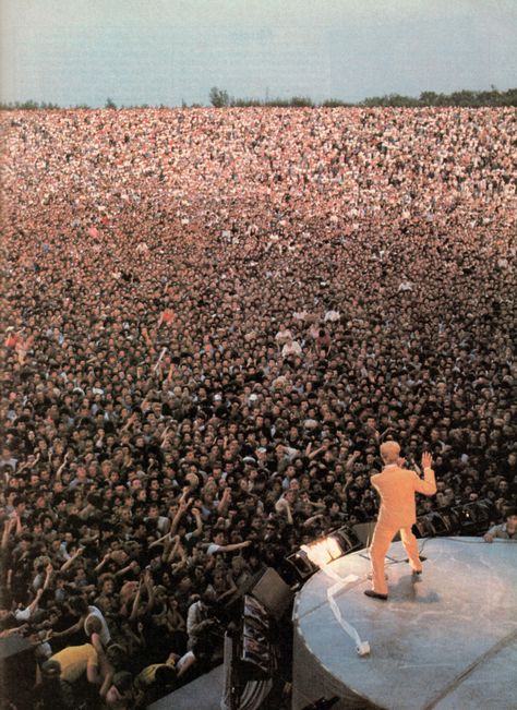 David Bowie photographed by Denis O'Regan, 1983. Rock Artists, Ziggy Stardust, Best Rock, Lets Dance, Music Icon, David Bowie, On Stage, Rock N Roll, Toilet Paper