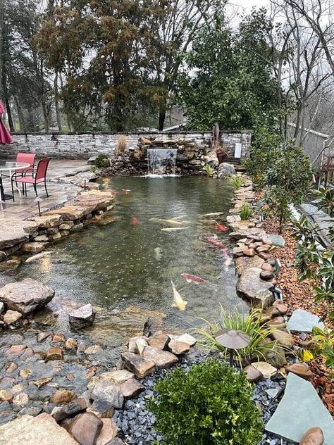 Natural Backyard Pools, Recreational Pond, Natural Backyard, Small Backyard Ponds, Koi Pond Design, Water Feature Ideas, Fish Pond Gardens, Natural Swimming Ponds, Backyard Ponds