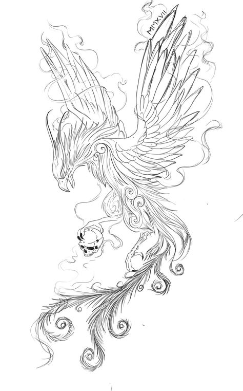 Phenix Birds Drawing, Celtic Phoenix Tattoo, Fenix Tattoo Design, Phoenix And Dragon Tattoo, Phoenix Tattoo Sketch, Phoenix Drawings, Phoenix Sketch, Phoenix Tattoo Men, Tato Phoenix