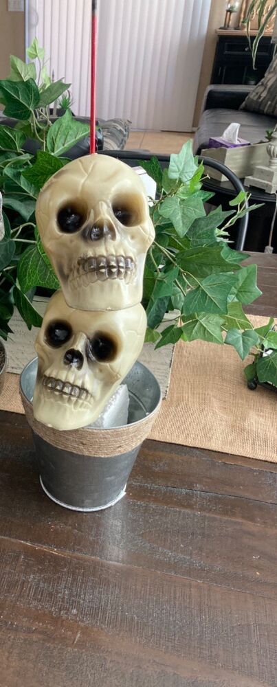 Diy Halloween Skull Topiary, Dollar Tree Skull Topiary, Skull Topiary Diy, Styrofoam Skull Crafts, Skull Topiary, Moss Paint, Topiary Diy, Diy Skulls, Skull Crafts