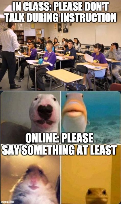 45 Funny Memes About The Disaster That Is 2020 - Funny Gallery Teacher Memes Funny, Teaching Memes, Class Memes, Studying Funny, Student Jokes, Studying Memes, College Memes, 2020 Memes, Student Humor