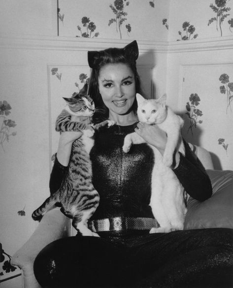 . She And Her Cat, Celebrities With Cats, Batman Tv Show, Julie Newmar, Cat Women, Davy Jones, Two Cats, Cat People, Vintage Cat