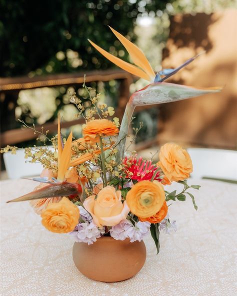 I think we need a little extra cheer and brightness for our feeds today Natalie + Bobby’s bird of paradise July wedding 💕🍊💕🍊💕 We always love flowering at the Old Rancho in Carlsbad. While still being able to accommodate a larger guest list, this venue always feels so cozy and intimate. Nothing compliments that feeling better like a perfect pop of color venue: @theoldrancho catering: @personaltouchdining photo: @kristyntaulanephoto rentals: @adorefolklore @conceptseventdesign lighting: @... Bird Of Paradise Wedding, Paradise Wedding, July Wedding, Feeling Better, That Feeling, Bird Of Paradise, Guest List, Birds Of Paradise, Love Flowers