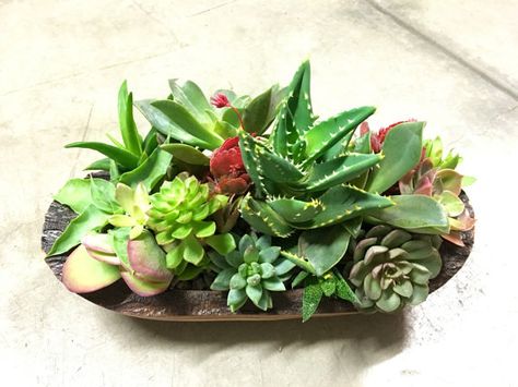 Home Flower Arrangements, Bowl Decor, Rustic Pots, Potted Succulents, Dough Bowls, Succulent Centerpieces, Bread Bowl, Wooden Dough Bowl, Grandmas Garden