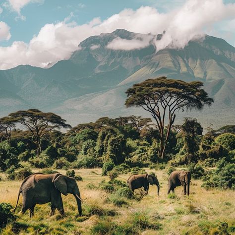 Encountering Elephants in Arusha National Park: A Gentle Giant’s Playground Arusha National Park offers a unique opportunity to observe African elephants in a breathtakingly diverse setting. This park, though smaller than Tanzania’s other safari destinations, provides a lush landscape where elephants roam against the backdrop of Mount Meru. Visitors can watch these majestic creatures as they gracefully navigate the montane forest, providing an intimate glimpse into the life of one of Africa’... African Mural, Safari Landscape, African Forest, Different Home Decor, Wild Park, Style Development, Mount Meru, Different Home Decor Styles, Mural Inspiration