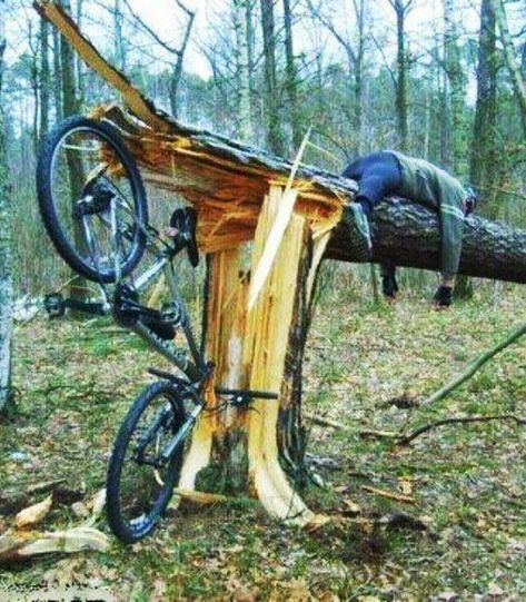 Bike Accident, Dump A Day, Oscar Wilde, Funny Photos, Funny Images, Mountain Biking, Cool Pictures, Funny Gif, Funny Pictures