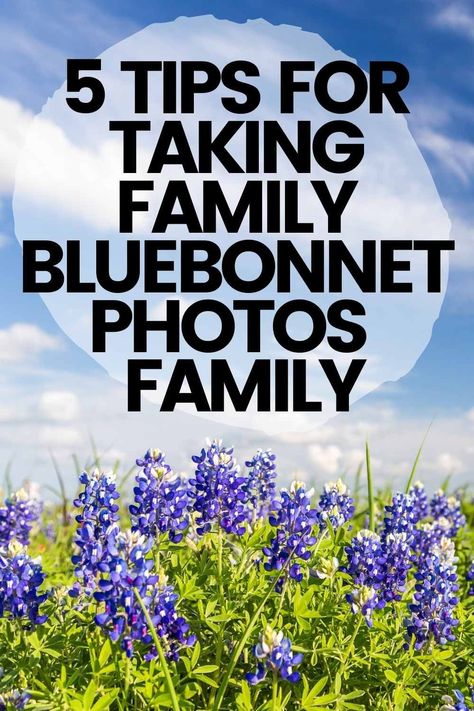 texas bluebonnet photos tips for taking pictures of the family #photography Family Bluebonnet Pictures, Bluebonnet Photoshoot Family Pics, Bluebonnet Photoshoot What To Wear, Bluebonnet Family Photos, Bluebonnet Photoshoot, Bluebonnet Photos, Bluebonnet Pictures, Texas State Flower, Texas Aesthetic