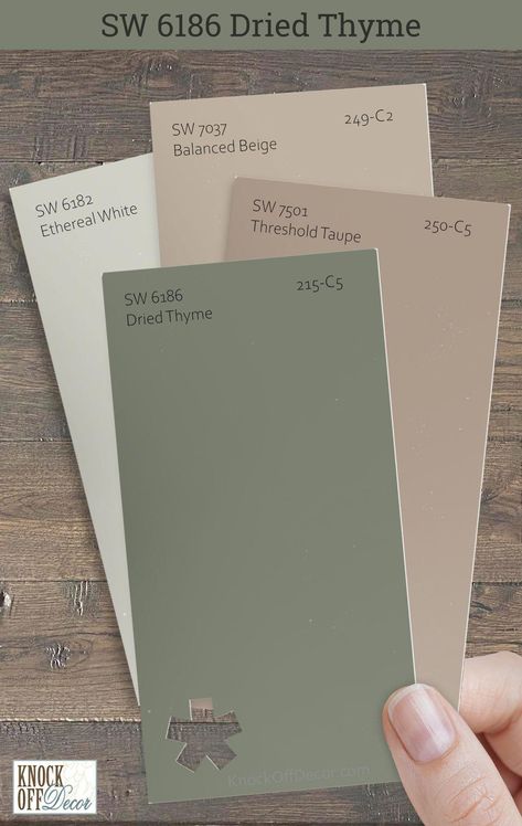 Sherwin Williams Dried Thyme SW 6186 is a trendy medium to dark-toned sage green paint color that has a positive impact on humans. Read on to see how I use it and what to best coordinate with it. Sherwin Williams Dried Thyme, Full Coverage Drugstore Foundation, Sage Color Palette, Sage Green Paint Color, Balanced Beige, Office Paint Colors, Sage Green Paint, Tiny House Big Living, Toilet Room Decor