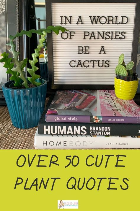 These 50+ funny plant quotes and garden quotes will bring some sass to your home or garden area! Use the short and simple sayings to make outdoor garden signs or chalkboards and letter boards for the inside of your house. These quotes are great ways to add decor to display around your growing potted houseplants, hanging plants, air plants, succulents, herbs and garden plants! Displaying houseplants with fun, cute quotes will add more life to your place! Funny Garden Decor, Succulent Signs Funny, Chalkboard Sayings For Home Funny, Quotes On Gardening, Plant Signs Funny, Funny Cactus Sayings, Cute Plant Sayings, Garden Quotes Signs Funny, Plant Sayings Quotes