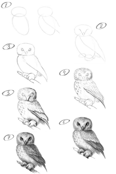 How to draw an owl with a pencil step-by-step drawing tutorial Owl Realistic Drawing, Eagle Owl Drawing, How To Draw Realistic Animals Step By Step, Realistic Cat Drawing Step By Step, How To Paint An Owl Step By Step, Owl Drawing Tutorial, Drawing Owls Easy Step By Step, Animals Step By Step Drawings, Animal Drawing Tutorial Step By Step