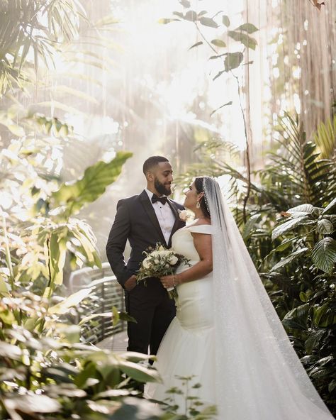 Atlanta Wedding Photographers (@saturdaysunphoto) • Instagram photos and videos Atlanta Botanical Gardens Wedding, Garden Elopement, Summerour Studio, Garden Wedding Venues, Botanical Garden Wedding, Atlanta Botanical Garden, Ceremony Chairs, Japanese Garden Design, Botanical Gardens Wedding