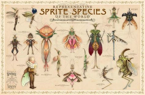 This is what's written in Arthur Spiderwick's Field Guide to the Fantastical World Around You... Tony Diterlizzi, Spiderwick Chronicles, Creature Fantasy, Dark Ink, Leg Tattoo, Holly Black, Mythological Creatures, Mystical Creatures, Arte Fantasy