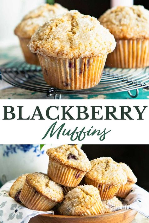 Light, fluffy, and bursting with sweet berries, these made-from-scratch blackberry muffins are a farmhouse favorite! Blackberry Muffins, Blackberry Muffin, Blueberry Muffins Recipe, Muffins Recipes, Blackberry, Biscuits, Burlap, Muffins, Rolls