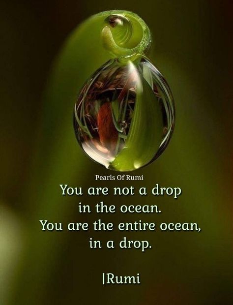 Hamsa Quote, English Wisdom, Rumi Poems, Scenic Quotes, Rumi Quotes Soul, A Drop In The Ocean, Fab Quotes, Pure Soul, Spiritual Awakening Quotes