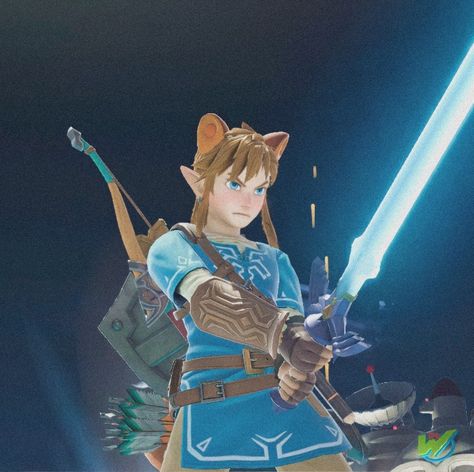 Smash Bros Aesthetic, Smash Bros Pfp, Link Super Smash Bros, Smash Bros Zelda, Link Botw, Smash Bros Funny, Link Meme, Video Game Memes, Zelda Art