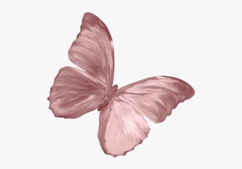 Pink Icons Aesthetic, Wings Png, Aesthetic Butterfly, Butterfly Png, Search Pins, Free Aesthetic, Pink Icons, Png Hd, Resolution