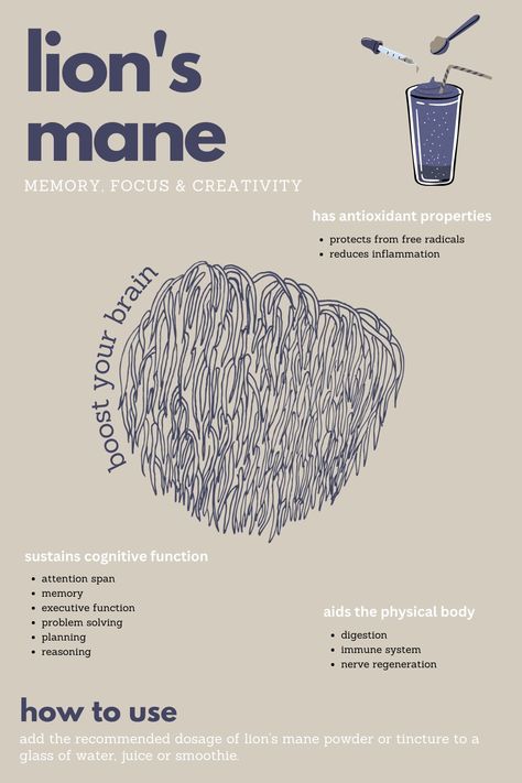 Lion's Main Mushroom, Mushrooms For Inflammation, King Trumpet Mushroom Benefits, Functional Mushroom Benefits, Lions Mane Mushroom Illustration, Lions Mane Supplement, Lions Mane Benefits For Women, Lion's Mane Mushrooms, Benefits Of Lions Mane Mushroom