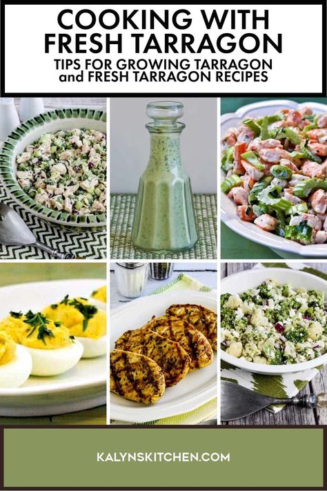 Pinterest image collage of six different versions of Cooking with Fresh Tarragon. Recipes Using Tarragon, Fresh Tarragon Recipes, Tarragon Recipes, Fresh Herb Recipes, Growing Cilantro, Tips For Cooking, Candy Drinks, Herb Recipes, Herbal Recipes