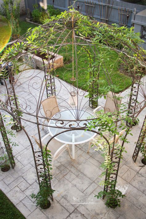 Gazebo With Chandelier, Wrought Iron Gazebo Ideas Backyard, Wrought Iron Pergola Ideas, Iron Gazebo Ideas Backyard, Outdoor Gazebo Wedding Decorations, Birdcage Gazebo, Trellis Gazebo, Wrought Iron Gazebo, Iron Gazebo