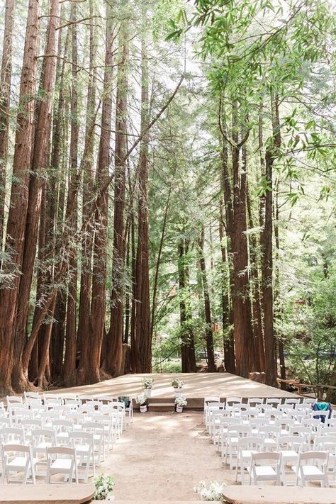 Old Mill Park Mill Valley Wedding, Pitch Dark, Contingency Plan, Important Things To Know, Mill Valley, Valley Wedding, Beach Theme Wedding, Event Coordinator, Park Wedding