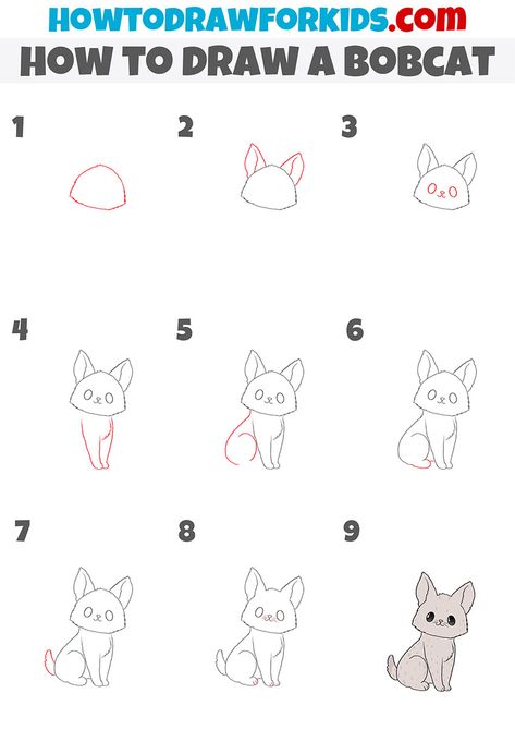 Cat To Draw, Bobcat Drawing, Sketchbook Diary, Bob Cat, Sketching Tips, Easy Drawings For Beginners, Practice Drawing, Draw Animals, Coloring Supplies