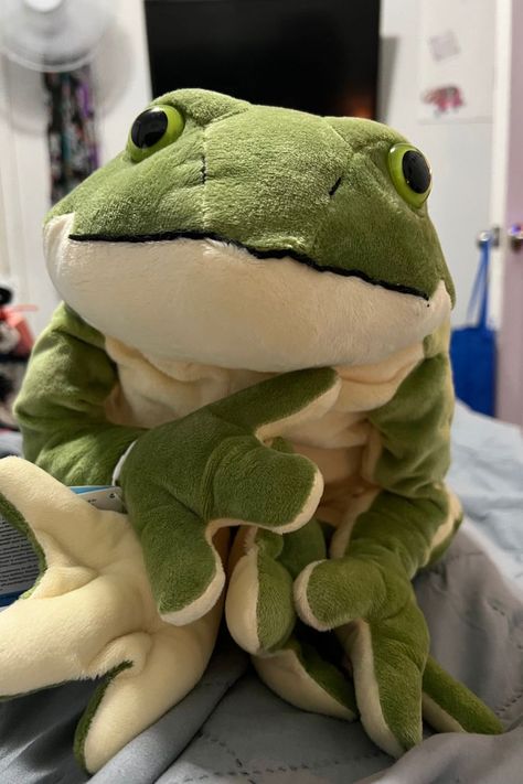 Stuffed Frog, Frog Stuffed Animal, Random Animals, Frog Plush, Green Tree Frog, Large Stuffed Animals, Merch Ideas, Ice King, Green Toys