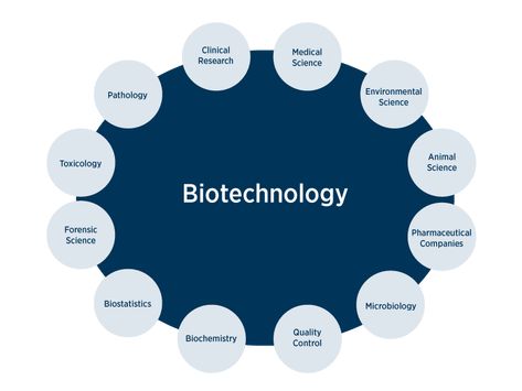 Biotechnology Careers, Science Academia, Academic Comeback, Biochemical Engineering, Microbiology Lab, Chemistry Basics, Biology Major, Biomedical Science, Medicine Student