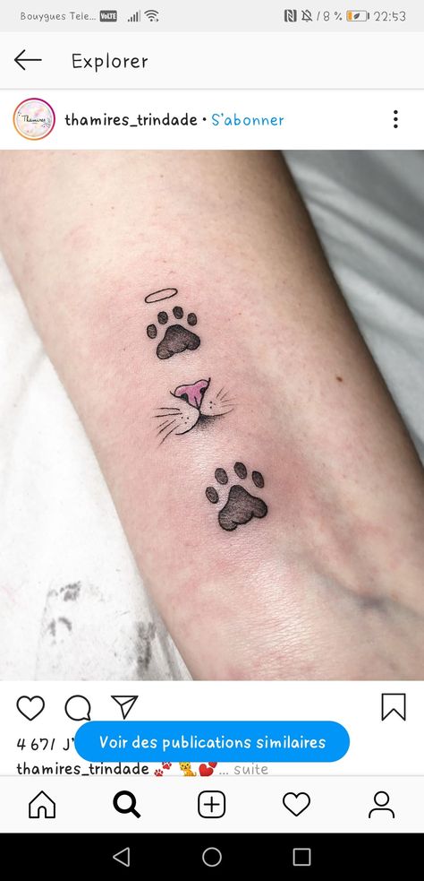 Cat Paw Print Tattoo Collar Bone, Cat Nose Print Tattoo, Tiny Cat Tattoo, Baby Owl Tattoos, Cat Paw Print Tattoo, Nose Tattoo, Cat Paw Tattoos, Body Enhancement, Pet Memorial Tattoo