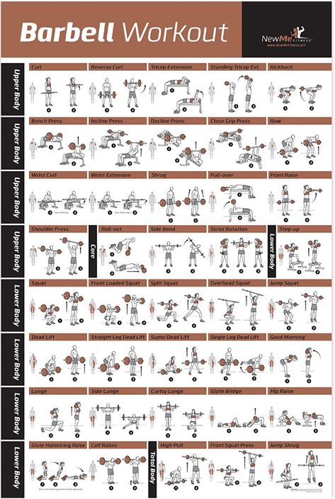 Barbell Exercises, Fitness Studio Training, Workout Man, Home Gym Workout, Gym Antrenmanları, Indoor Workout, Reformer Pilates, Barbell Workout, Workout Posters