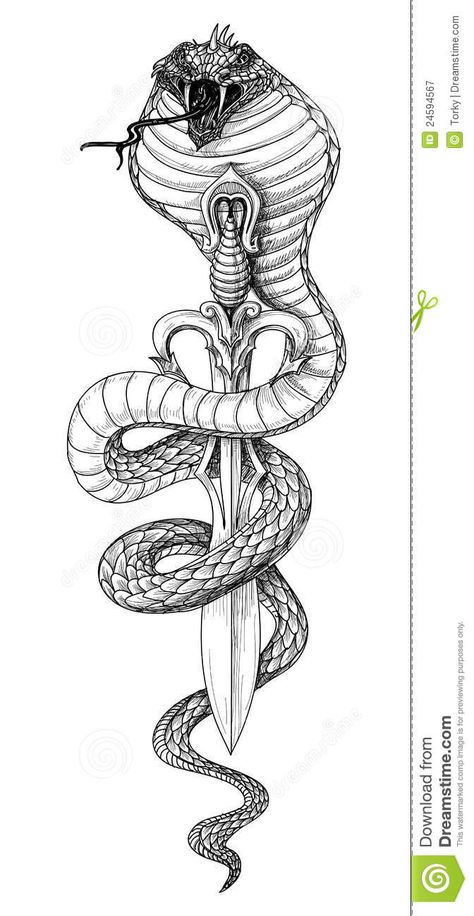 King Cobra Tattoo, Snake And Dagger Tattoo, Tattoo Care Instructions, Cobra Tattoo, Tattoo Snake, Snake Illustration, Serpent Tattoo, Snake Drawing, Realistic Temporary Tattoos