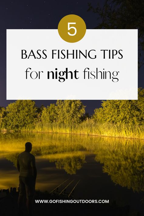 Night Fishing Hacks, Beginner Fishing, Bank Fishing, Plastic Worms, Summer Fishing, Bass Fishing Lures, Bass Fishing Tips, Night Fishing, Freshwater Fishing