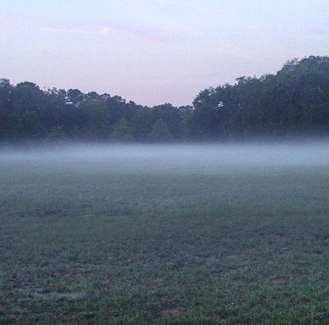 Foggy Grass Field, Foggy Field Aesthetic, Gloomy Countryside, Foggy Countryside, Foggy Meadow, Misty Field, Foggy Aesthetic, Foggy Field, Dark Field