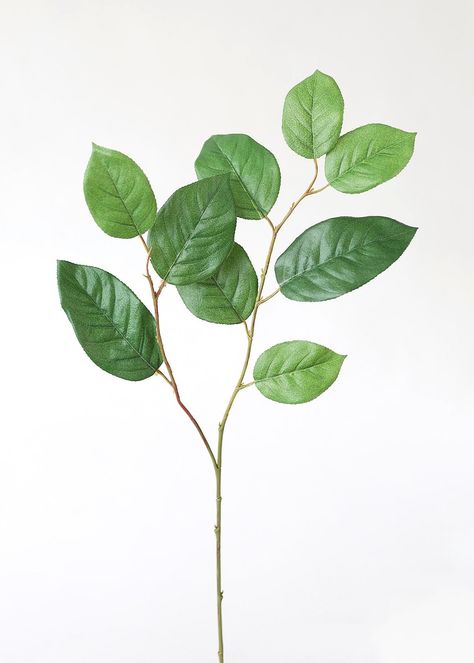 Wedding Greenery Garland, Faux Olive Trees, Woodwork Ideas, Flower Identification, Lemon Leaves, Zen Bedroom, Flower Logo Design, Green Garland, Artificial Greenery