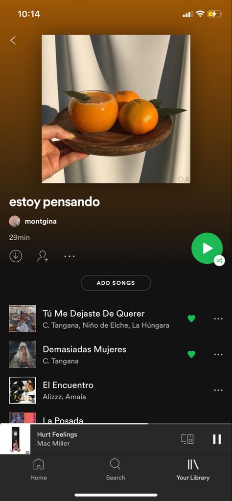 Dominican Playlist, Spotify Playlist Spanish, Spanish Spotify Playlist Names, Spanish Music Playlist Names, Latino Playlist Names, Spanish Spotify Playlist, Spanish Songs Playlist, Spanish Playlist Names, Spanish Music Playlist