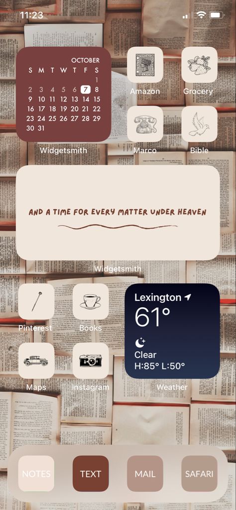 Book Lover Homescreen, Book Phone Theme, Books Homescreen, Bookish Iphone Wallpaper, Bookish Homescreen, Bookish Phone Wallpaper, Book Homescreen, Widget Themes, Cute Home Screens