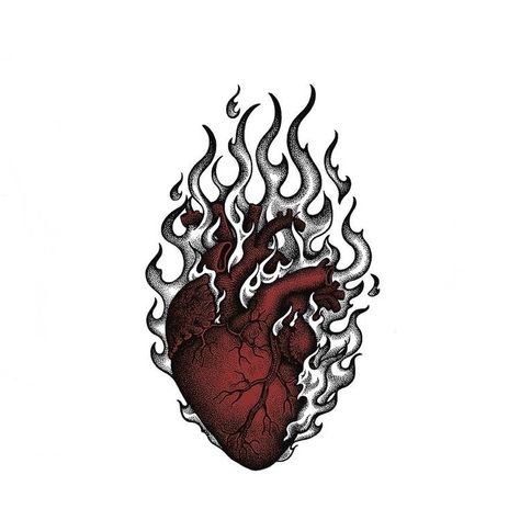 Heart In Flames Drawing, Heart With Flames Drawing, Heart With Fire Drawing, Heart On Fire Illustration, Hearts On Fire Tattoo, Heart On Flames Tattoo, Heart In Fire Tattoo, Fire Related Tattoos, Anatomical Heart On Fire Tattoo