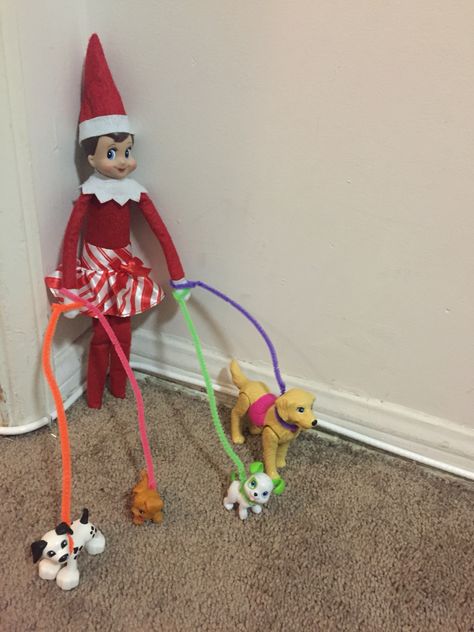 Elf on the shelf walking dog idea Vet Med Elf On The Shelf, Elf On Shelf, Walking Dog, Vet Med, Elf Ideas, Dog Cages, Dog Leads, Christmas 2023, Shelf Ideas