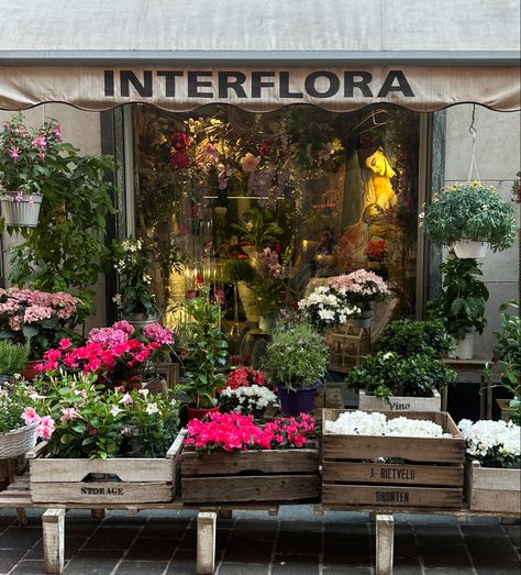 #fashion #aesthetic #florist #italian #italy Vintage Florist Aesthetic, Florist Aesthetic, Green Fig, Fig Tree, + Core + Aesthetic, Fashion Aesthetic, Dream Job, Flower Shop, Mailbox