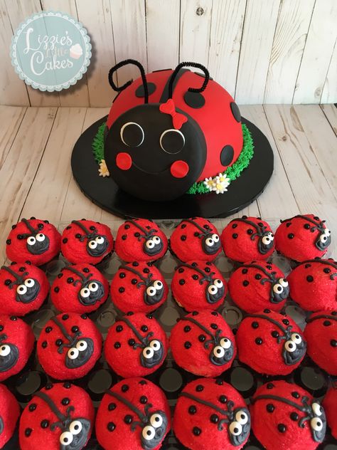 Ladybug Cupcakes Ideas, Ladybug Birthday Cupcakes, Ladybug Appetizers, Ladybug Birthday Cake, Bug Birthday Cakes, Cake Sculpting, Ladybug Ideas, Ladybug Decor, Ladybug Cakes