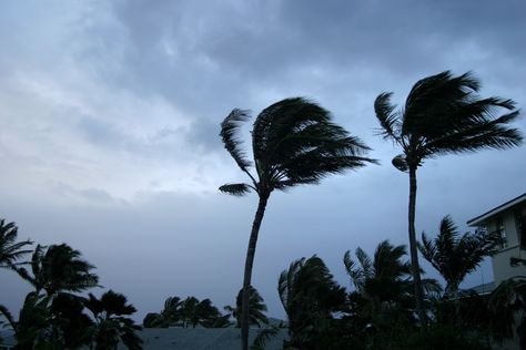 Preparation, mitigation and swift action are essential for individuals and businesses to safeguard against the impacts of typhoon season. Read more from Nigel Cook in today's blog.
#property #risk #recovery #typhoon #CAT Forensic Accounting, Temporary Housing, Brazilian Portuguese, Event Marketing, News Media, Consulting Business, Insurance, Swift